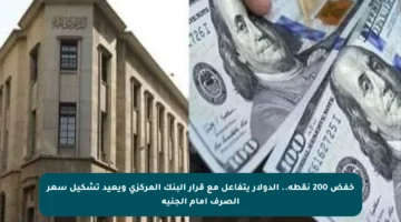 خفض 200 نقطة.. الدولار يتفاعل مع قرار البنك المركزي ويعيد تشكيل سعر الصرف أمام الجنيه